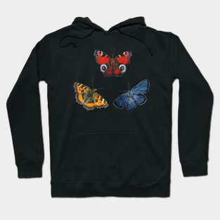 Butterfly Collection Hoodie
